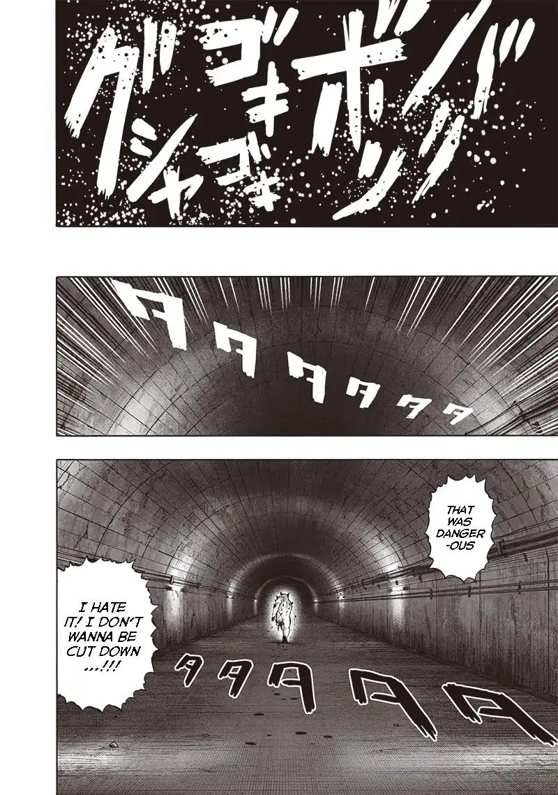 One-Punch Man Chapter 114 11